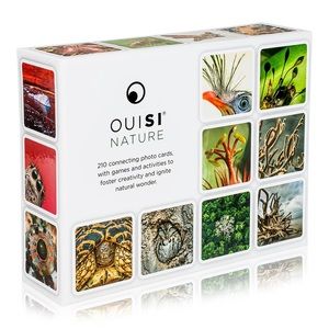 OuiSi (we-see) educational game
